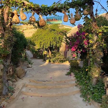 Mountain Camp Ali Khaled Hotel Siwa Oasis Luaran gambar