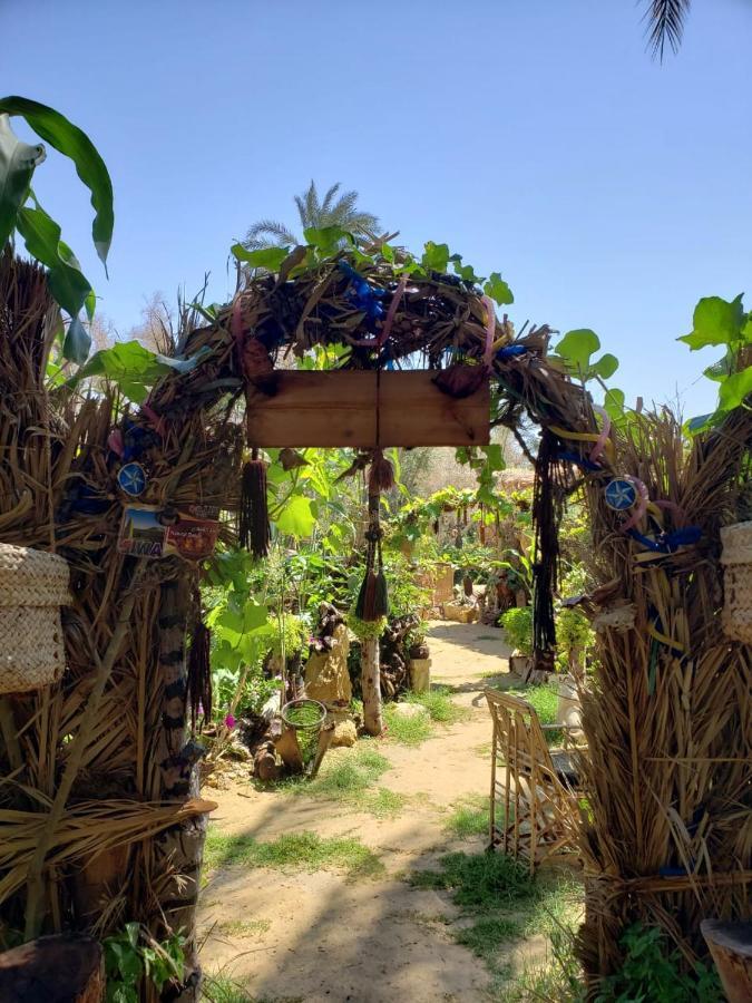 Mountain Camp Ali Khaled Hotel Siwa Oasis Luaran gambar