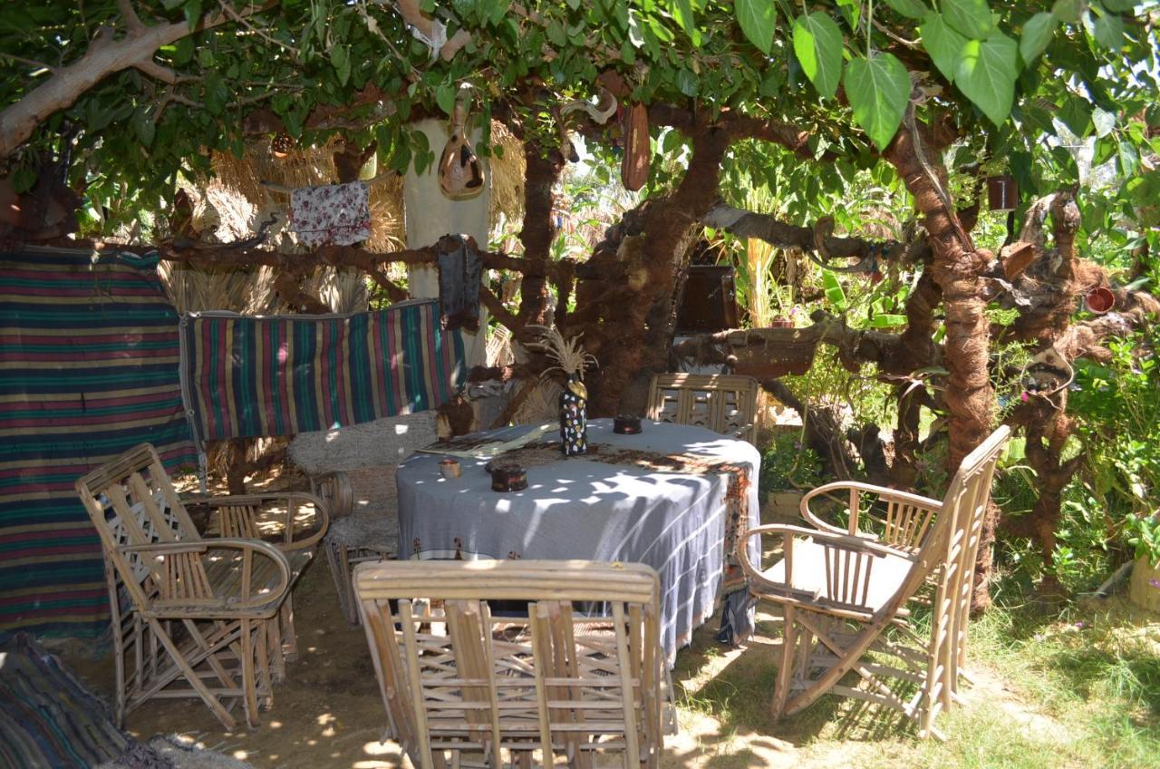 Mountain Camp Ali Khaled Hotel Siwa Oasis Luaran gambar