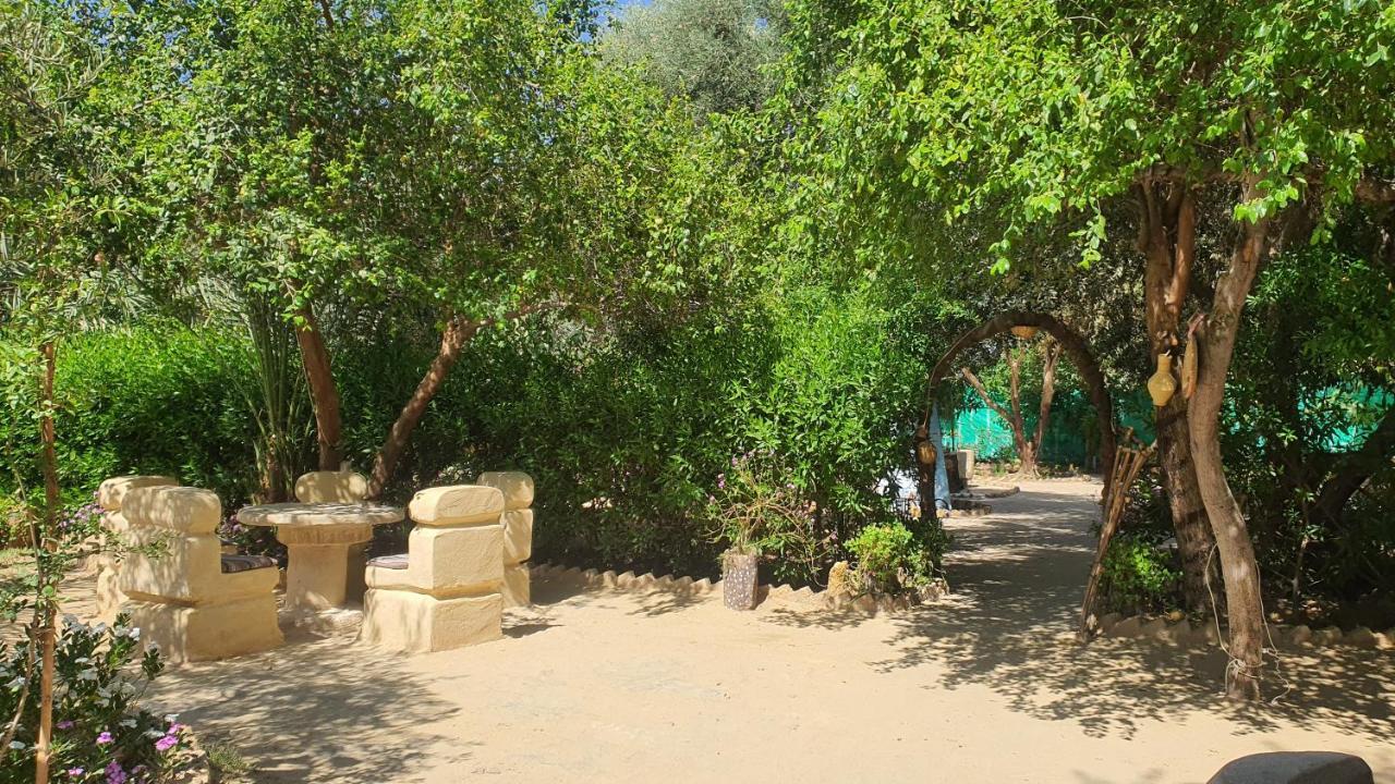 Mountain Camp Ali Khaled Hotel Siwa Oasis Luaran gambar