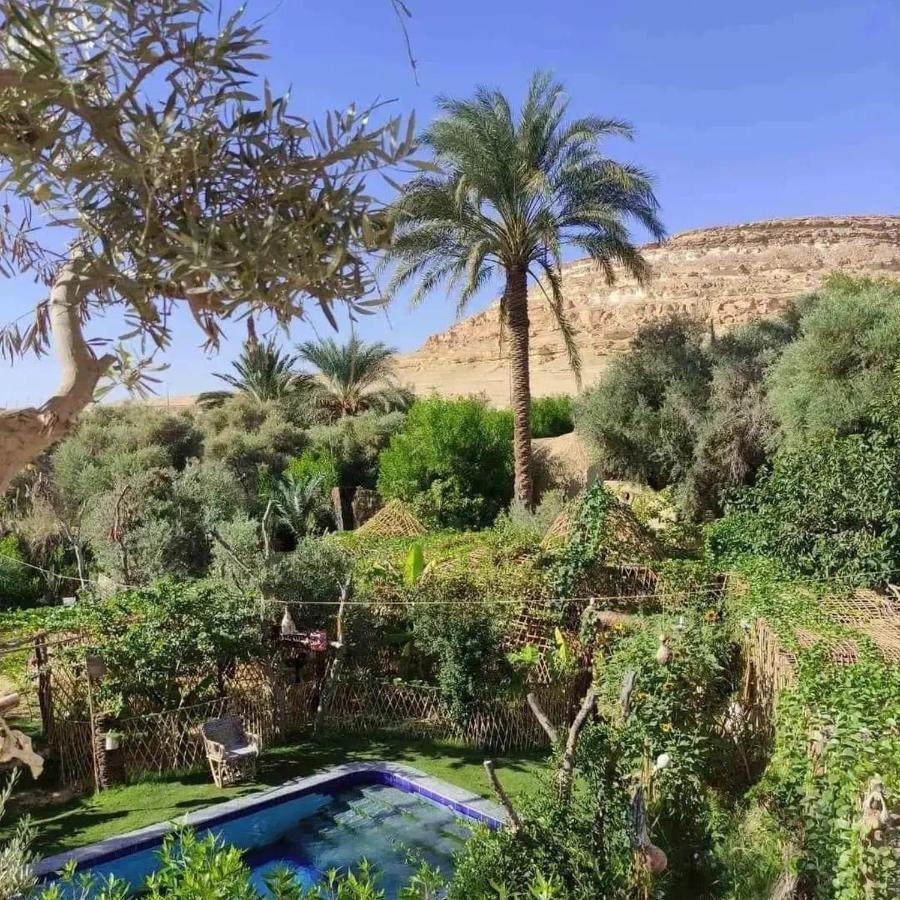Mountain Camp Ali Khaled Hotel Siwa Oasis Luaran gambar