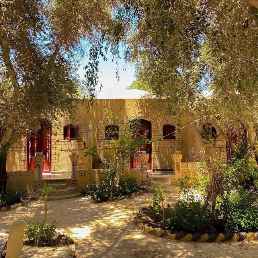Mountain Camp Ali Khaled Hotel Siwa Oasis Luaran gambar