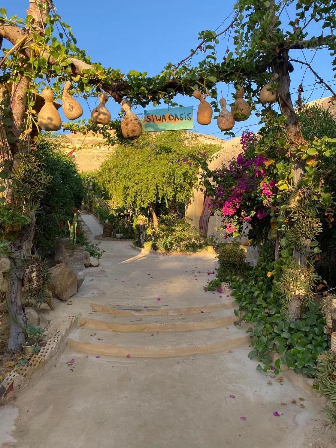 Mountain Camp Ali Khaled Hotel Siwa Oasis Luaran gambar